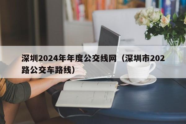 深圳2024年年度公交线网（深圳市202路公交车路线）