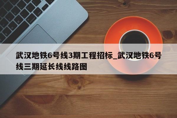 武汉地铁6号线3期工程招标_武汉地铁6号线三期延长线线路图
