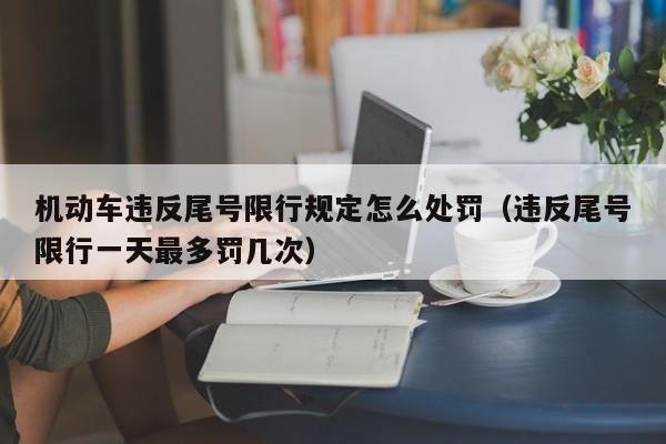 机动车违反尾号限行规定怎么处罚（违反尾号限行一天最多罚几次）