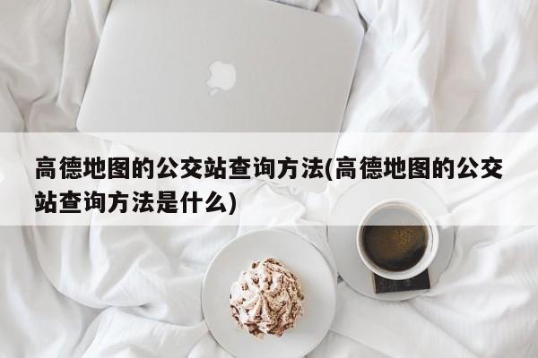 高德地图的公交站查询方法(高德地图的公交站查询方法是什么)
