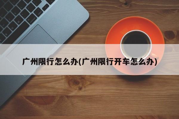 广州限行怎么办(广州限行开车怎么办)