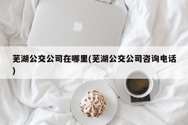 芜湖公交公司在哪里(芜湖公交公司咨询电话)