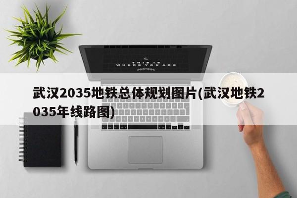 武汉2035地铁总体规划图片(武汉地铁2035年线路图)