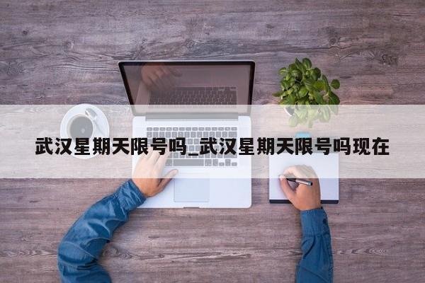 武汉星期天限号吗_武汉星期天限号吗现在