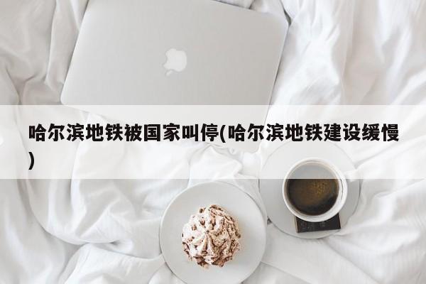 哈尔滨地铁被国家叫停(哈尔滨地铁建设缓慢)