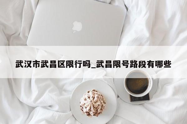 武汉市武昌区限行吗_武昌限号路段有哪些