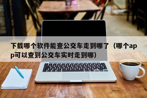 下载哪个软件能查公交车走到哪了（哪个app可以查到公交车实时走到哪）