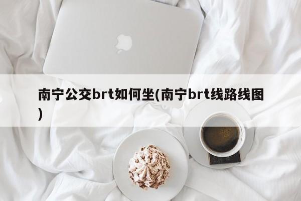 南宁公交brt如何坐(南宁brt线路线图)
