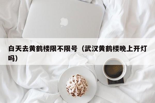 白天去黄鹤楼限不限号（武汉黄鹤楼晚上开灯吗）